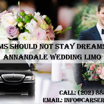 Annandale Wedding Limo